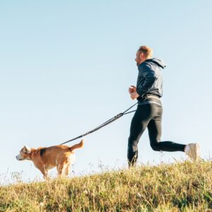 dog running with its human